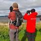 Birding for Brents event image