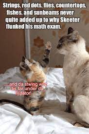 Mom Asks A Simple Question Answer Takes 10 Min Cat Quotes Funny Funny Cats Funny Cat Memes