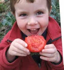 Ingredients for harvesting joy: how to grow your own delicious fresh food