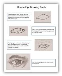 How to draw human eye diagram step by step and easy for class 10. How To Draw Eyes For Beginners Art By Ro