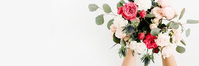 Same day delivery available in select countries. Izami Florist Bloemiste Best Flower And Gift Delivery In Bloemfontein And South Africa