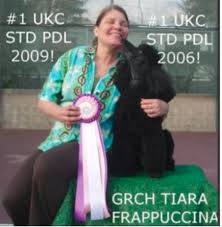 Breeder Spotlight #2 Tiara Poodles