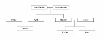 The Example Of A Family Tree Embl Ebi Train Online