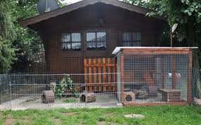 Aussengehege Fotos Aussengehege Kaninchengehege Meerschweinchen Gehege