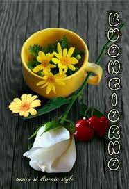 Sì, oggi è proprio un buon giorno. 32 Good Morning In Italian Ideas Good Morning Italian Memes Buongiorno