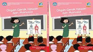 Pada subtema 2 ini terdiri dari 6 kegiatan pembelajaran yang harus diselesaikan oleh siswa secara individu. Kunci Jawaban Tema 1 Kelas 5 Halaman 68 69 70 72 73 74 75 63 64 65 Organ Gerak Hewan Dan Manusia Tribun Pontianak