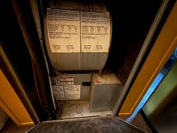 Image result for Hum Test