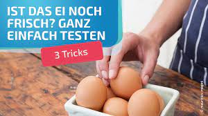 Ei Noch Gut Frische Test Fur Eier Ganz Einfach Bayern 1 Radio Br De