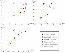 Roblox para niñas / tortas roblox para ninas roblo. New Fossil And Isotope Evidence For The Pleistocene Zoogeographic Transition And Hypothesized Savanna Corridor In Peninsular Thailand Sciencedirect