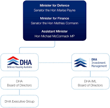 Our Organisational Structure Agency Overview Dha Annual