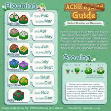 Ac New Horizons Shrub Guide In 2020 Animal Crossing Animal Crossing Game New Animal Crossing