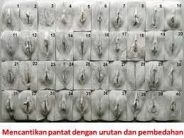 Oleh iqbal hakimdiposting pada agustus 7, 2019november 16, 2020. November 2012 Sifuli Terapi