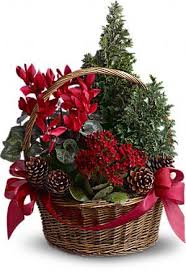 Tannenbaum Basket Home Decor But In My House It Needs To Be Chocolate Copper And Gold In Christmas Flowers Christmas Flower Arrangements Christmas Plants