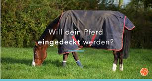 Pferdedecken große auswahl ✔ das beste zubehör für reiter, pferd und stall ♞ reiterferien, stellenanzeigen und weiterbildung für pferdefreunde ► jetzt kleinanzeigen finden bei ehorses.de! Decke Oder Nicht Mit Dieser Magischen Methode Zur Antwort Equisense Blog