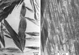 Martensitic stainless steel is formed by the creation of martensite. 8 4 1 Martensite