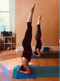 This is a review for yoga in doylestown, pa 18901: Sun Dog Yoga Studio Sundogyoga Twitter