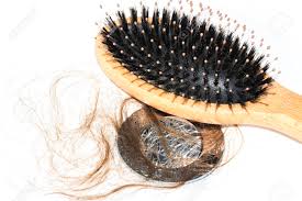 Polishing attachment brown hair brush for drill or dremel. Hair Loss On Washbasin Long Wet Brown Hair With Wood Brush On White Basin In The Bathroom Healthcare Concept Stock Photo Picture And Royalty Free Image Image 108355942