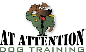 (cat adoption team) is a local group of volunteers who rescue stray or abandoned cats, foster them, and find them loving homes. Resource Pet Food Pantry Information For Pennsylvania At Attention Dog Training