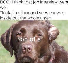 We did not find results for: Pin On Funny Pictures