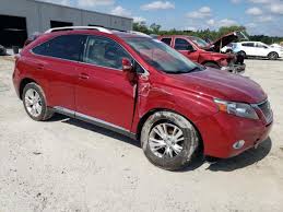 Image result for Matador Red 2012 HS