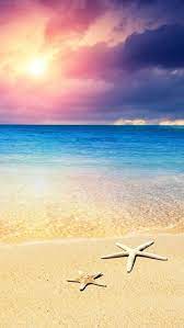 Beach Starfish Android Wallpaper 2021 Live Wallpaper Hd Beach Wallpaper Iphone Android Wallpaper Iphone Wallpaper