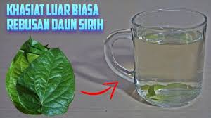 Radang tenggorokan merupakan sebuah penyakit yang hampir sama seperti penyakit asma. Daun Seribu Khasiat Inilah 8 Manfaat Air Rebusan Daun Sirih Untuk Keseh Rebusan Tahu Kesehatan