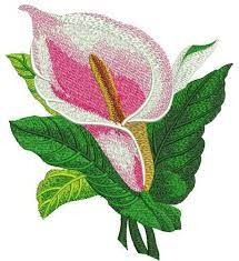 Pink Calla Lily Machine Embroidery Design From Flowers Machine Embroidery Collection Feel Free Embroidery Designs Sewing Embroidery Designs Machine Embroidery