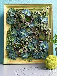 We thought a fun blog project would be to invite all of our employees to make their own succulent creations. Eight Diy Vertical Succulent Garden Ideas Better Homes Gardens