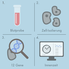 Schon 1814 entdeckte der französische mediziner virey. Bluttest Ermoglicht Das Ablesen Der Inneren Uhr Charite Universitatsmedizin Berlin Charite Universitatsmedizin Berlin