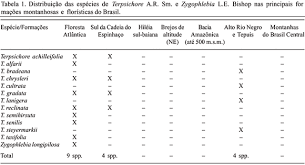 Image result for Zygophlebia villosissima