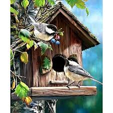 We did not find results for: Buy 51buyoutgo Bird Cross Stitch Kits For Adults 11 Ct Easy Funny Pre Printed Stamped Counted Cross Stitch Patterns Kits For Adults Beginners Kids Embroidery Starter Kits For Beginners 46x36 Cm Online