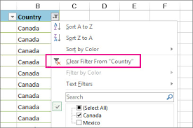 Clear Or Remove A Filter Excel