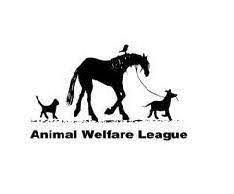Maybe you would like to learn more about one of these? Animal Welfare League Facebook
