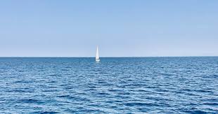 Un logo per i 100 anni della Federazione Italiana Vela - Concorso di ...