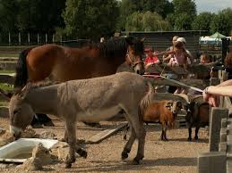 Ferme Pedagogique De La Bechere A Romilly Sur Seine Aube Champagne