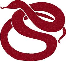 Tibetan Astrology Nine Ways
