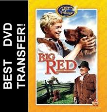 Shop allposters.com for great deals on our huge selection of posters & prints online! Big Red Dvd 1962 Disney 9 99 Buy Now Raredvds Biz