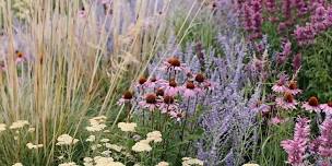 Free Garden Class: Bring on the blooms!