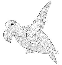 Sea turtles and elkhorn coral ~ creative haven seascapes coloring book, dover publications #art #journal: Abstract Turtle Vector Images Over 2 800