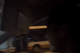 It's so gross': Disgusted diner calls out woman for letting dog lick spoon  at HortPark restaurant, Singapore News - AsiaOne