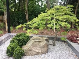 We did not find results for: Japanese Maple Acer Trees Ideal For Japanese Gardens Modern Japanese Garden Japanese Maple Garden Japanese Rock Garden