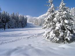 Hohe tatra reisen polen wandern urlaub slowakei. Skigebiet Tatranska Lomnica Skifahren Pistenplan Apres Ski