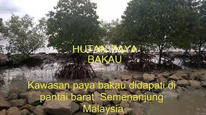 Maaf bila salah, semoga membantu. Sumber Hutan Youtube