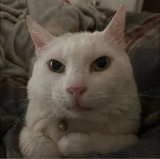 Sarah Brandl in people