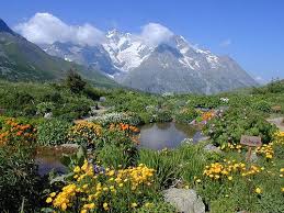 jardin botanique alpin lautaret 15 gardens of the world gorgeous gardens portland japanese garden
