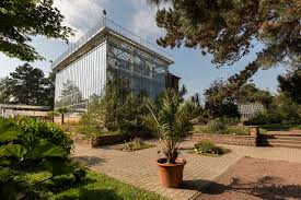 Zutritt erhalten maximal 300 personen. File Botanischer Garten In Halle Saale Freiflachen Am Grossen Palmenhaus Panoramio Jpg Wikimedia Commons