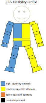 Used to detect if the visitor has accepted the marketing category in the cookie banner. T35 Classification Wikipedia