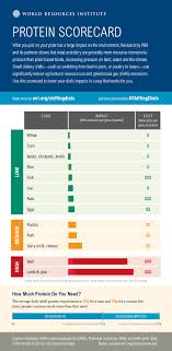 Protein Scorecard World Resources Institute