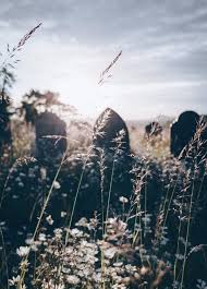 Check spelling or type a new query. Colin Phillips Funerals Practical Services Funeral Flowers