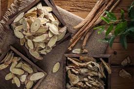 Đẳng Sâm - Nhân Sâm Người Nghèo Chữa Bách Bệnh
